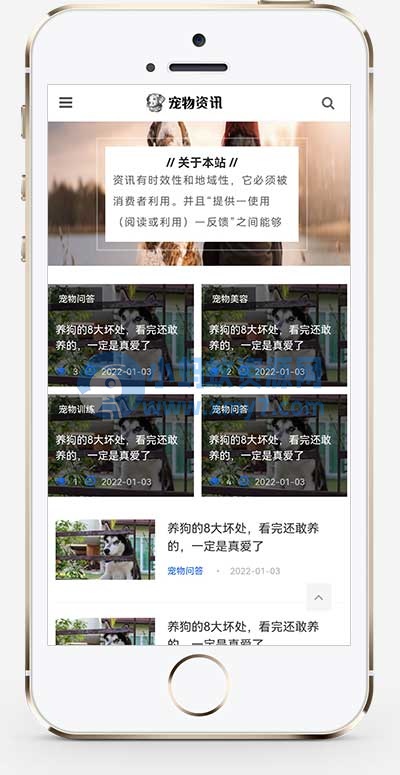 (自适应手机端)响应式宠物资讯类网站源码 宠物博客经验pbootcms网站模板 - 图片1