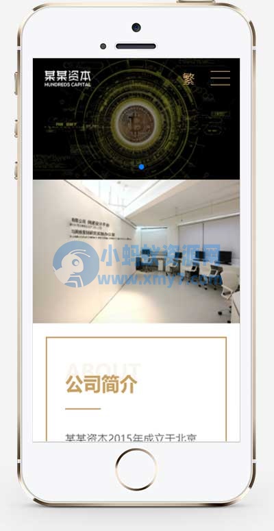 (自适应手机端)简繁双语响应式HTML5通用金融资本咨询网站单页pbootcms模板 - 图片1