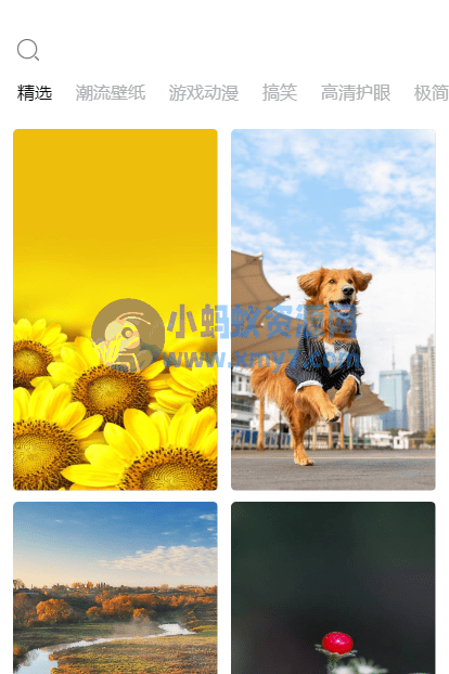 高清壁纸预览下载小程序源码 - 图片1