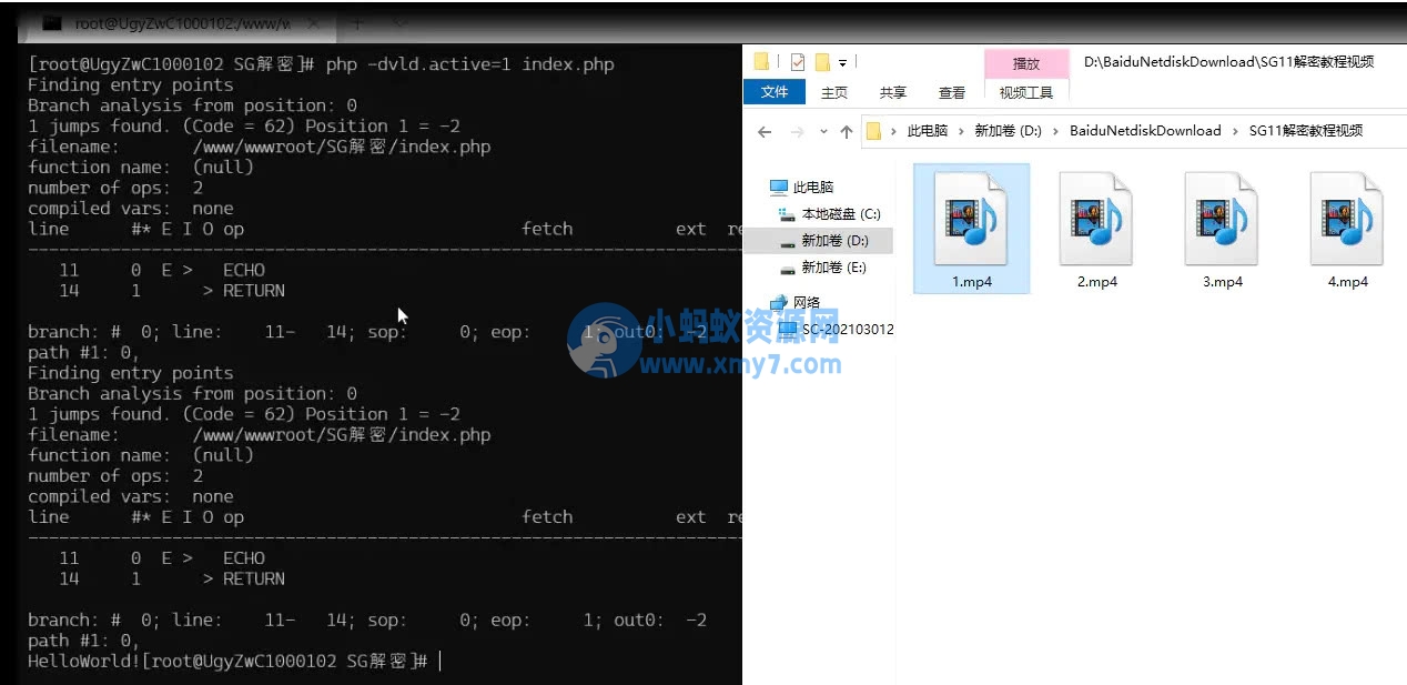 SG11详细解密视频教程-sg11解密方法 - 图片1