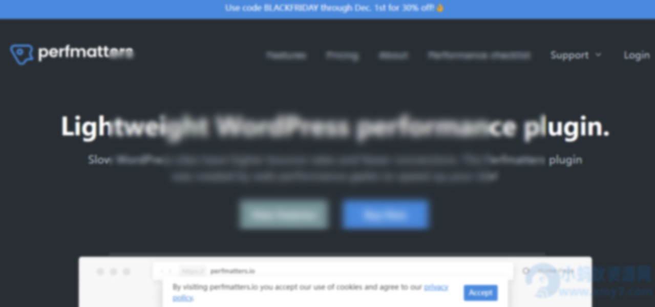 WordPress性能优化插件–Perfmatters v2.5.9 破解版下载 - 图片1
