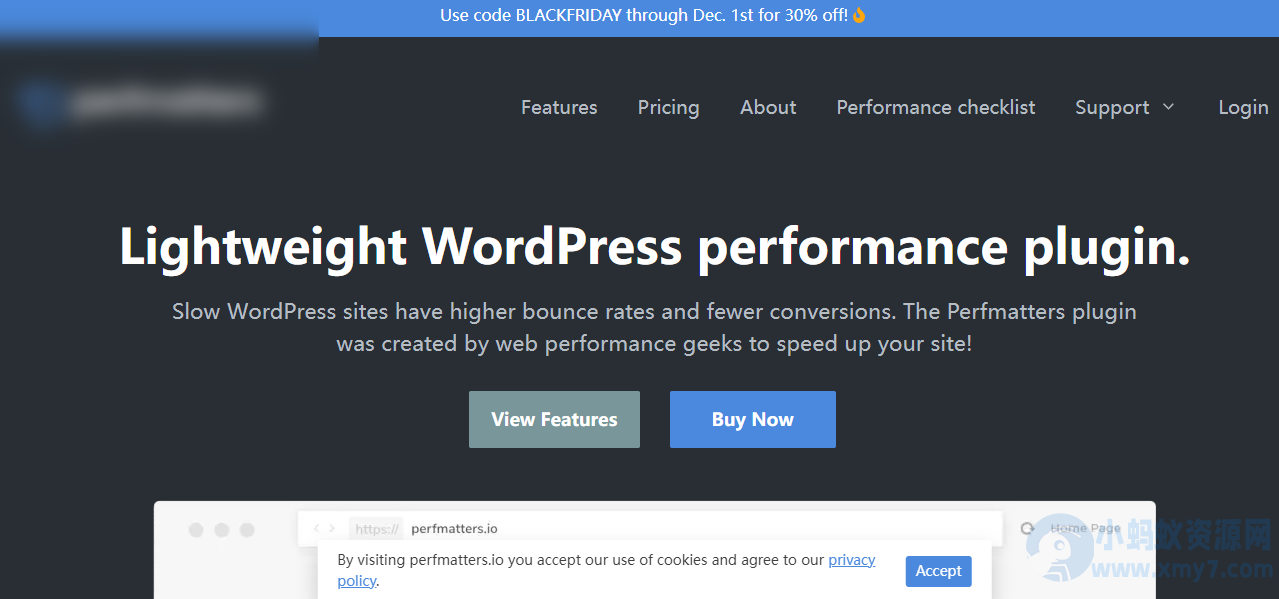 WordPress性能优化插件–Perfmatters v2.5.1 破解版下载 - 图片1