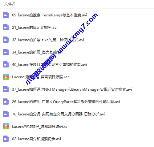 Lucene全文检索引擎架构零基础入门到实战视频教程 - 图片1