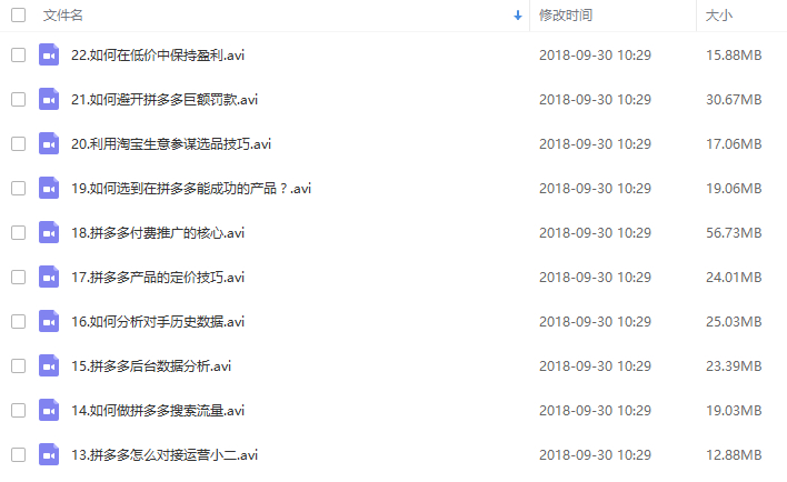 拼多多运营学习讲座火爆运营开店教程（共22课） - 图片1