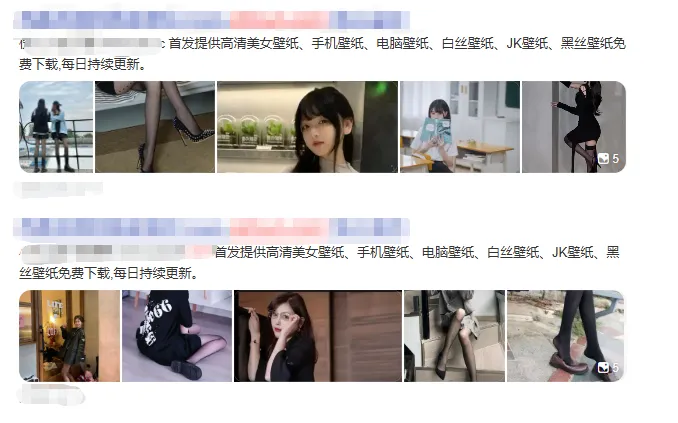 老司机壁纸源码 2.0 修复版 布局优化 + BUG 修复 可直接搭建运营 - 图片1