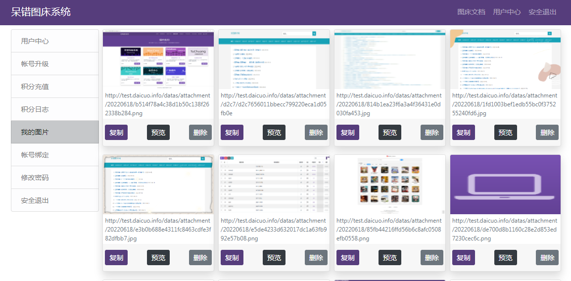 呆错图床系统源码 - 图片1