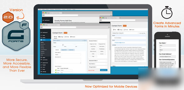 WordPress 表单插件–Gravity Forms v2.9.15 破解版下载 - 图片1