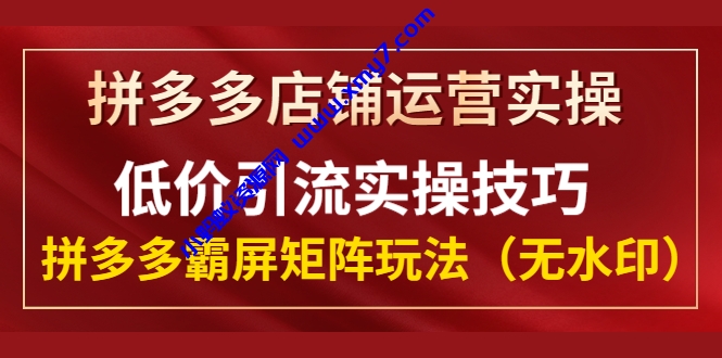 拼多多店铺运营实操，低价引流实操技巧，拼多多霸屏矩阵玩法（无水印） - 图片1
