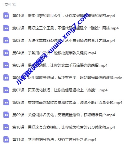 零基础学SEO引爆流量躺赚 SEO视频教程 - 图片1