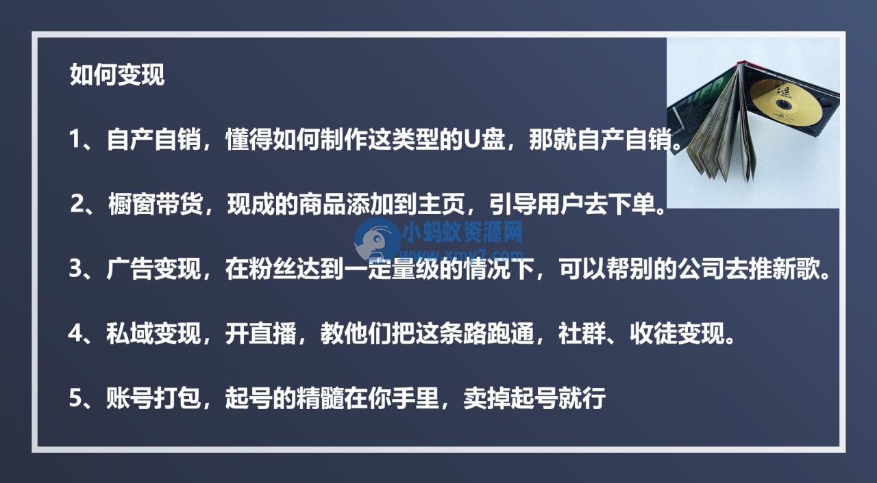 音乐号U盘项目新人操作全攻略 - 图片1