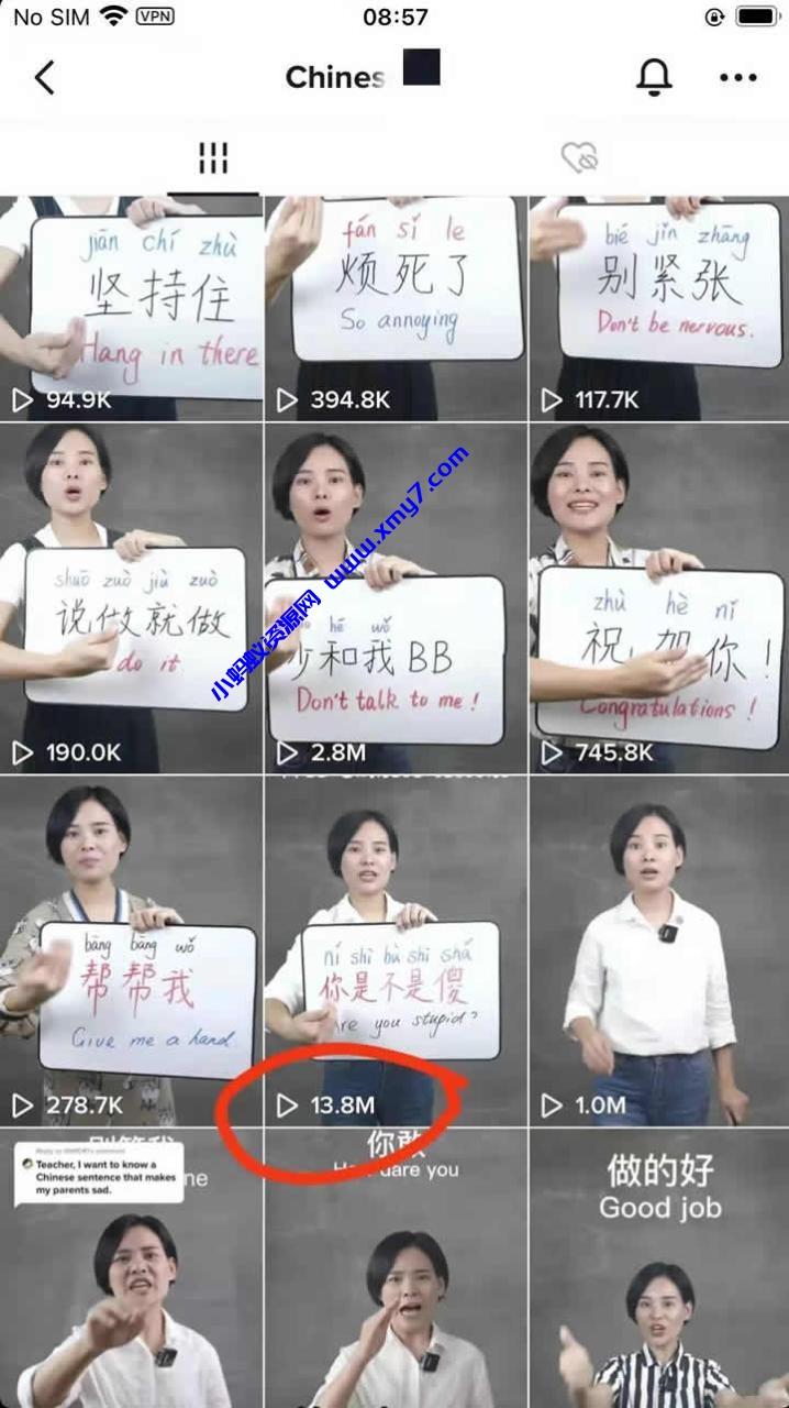 蓝海项目：在Tiktok上教老外学中文 - 图片1