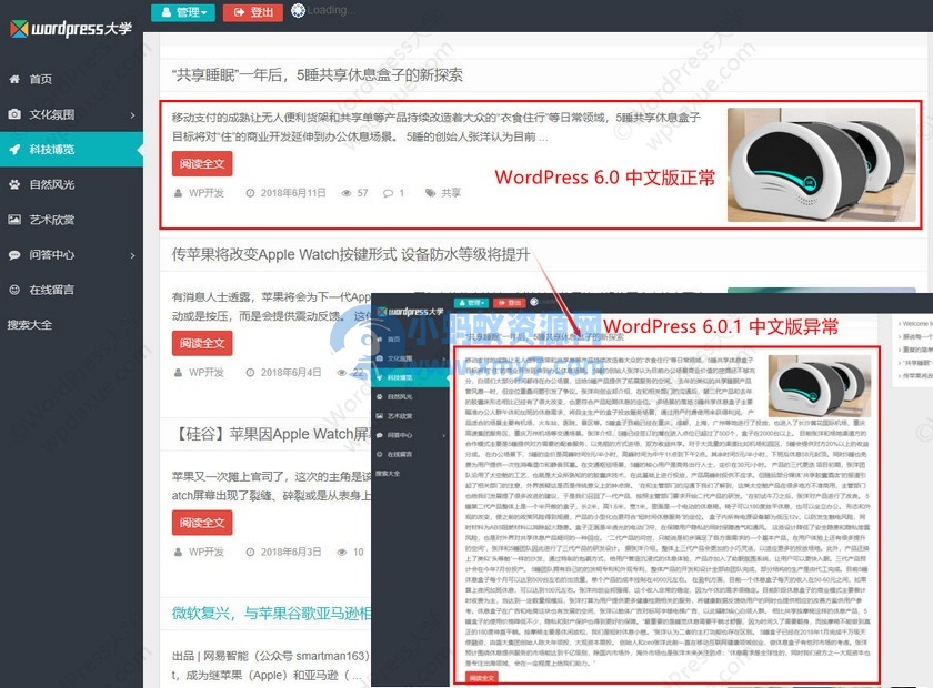 WordPress 6.0.1 简体中文版导致摘要截取失效的解决办法 - 图片1