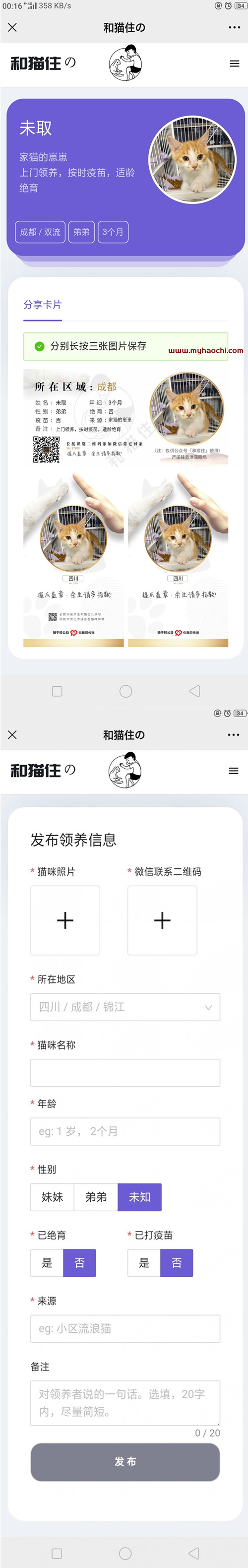 流浪猫流浪狗发布H5源码下载 带演示 - 图片1