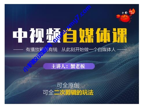 蟹老板·中视频自媒体训练课，可全原创可全二次剪辑的玩法，有播放量就有钱 - 图片1