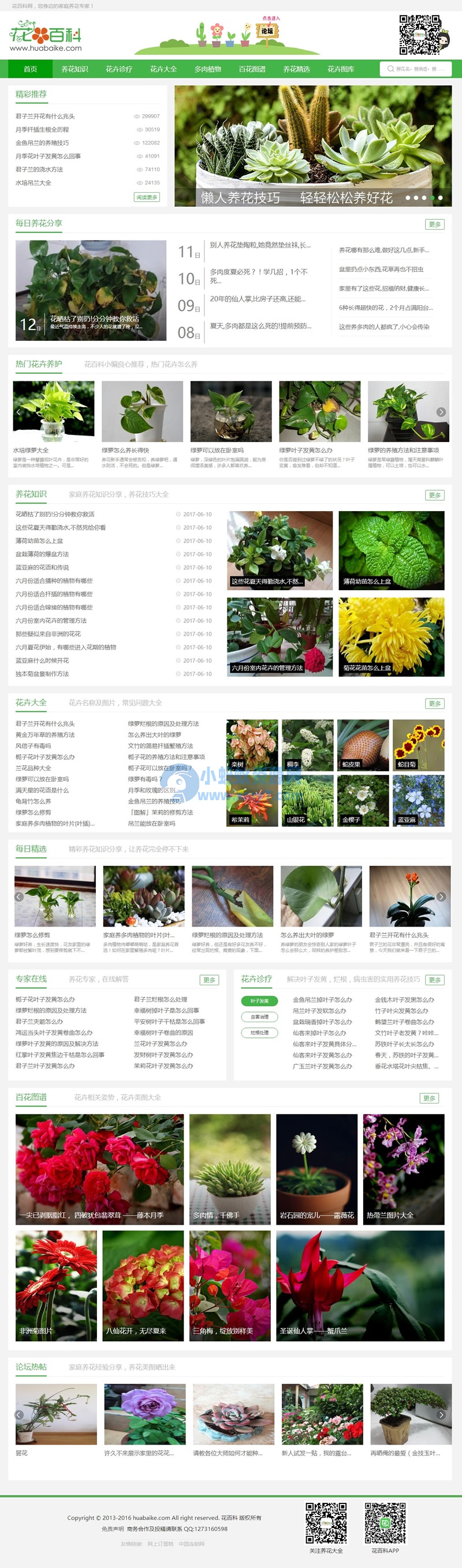 92kaifa 《花百科》专业养花站 庭养花技巧及花卉图片 带手机版 带火车头采集 - 图片1