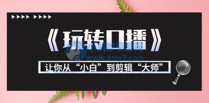 月营业额700万+大佬教您《玩转口播》让你从“小白”到剪辑“大师” - 图片1