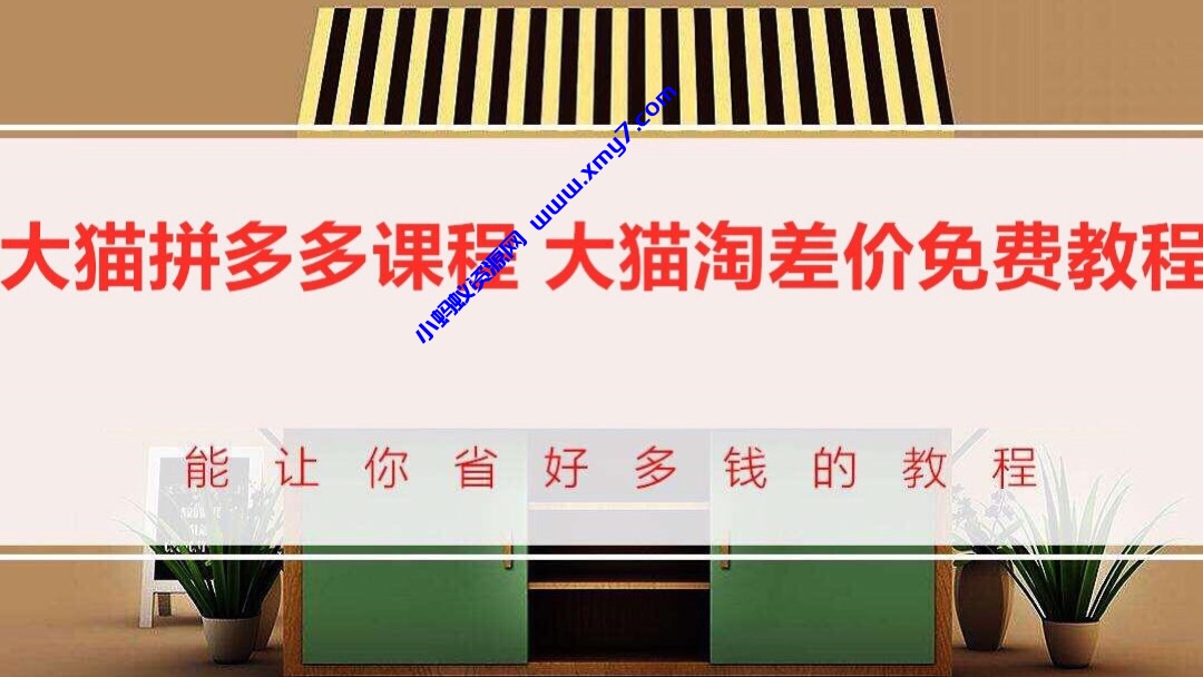 大猫拼多多课程-大猫淘差价教程 - 图片1