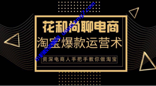 花和尚·天猫淘宝爆款运营实操技术，手把手教你月销万件的爆款打造技巧 - 图片1