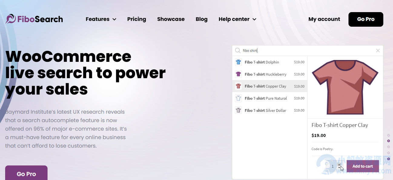 WordPress搜索插件–FiboSearch Pro v1.32.1 破解版下载 - 图片1